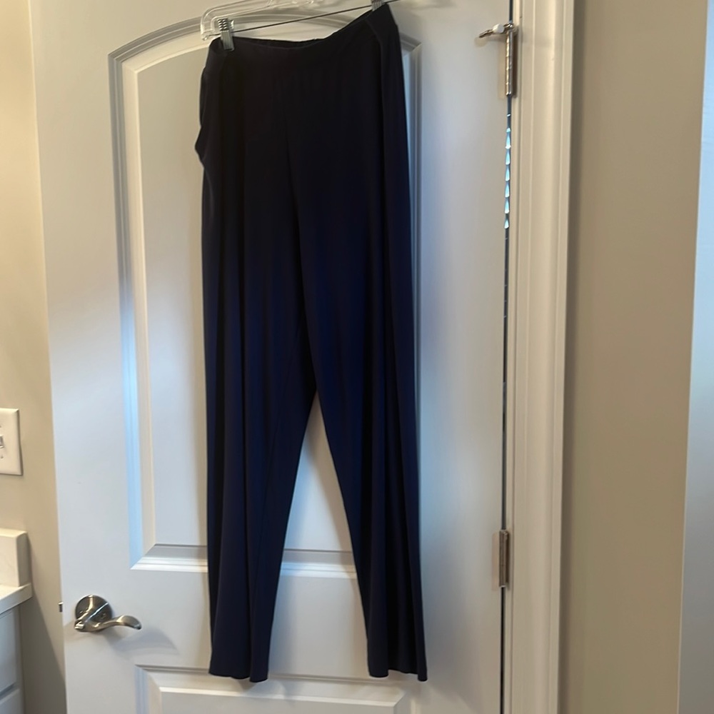 Clara Sun Woo Navy Pants 1X 2 pocket